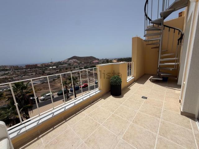 Piso, Arona