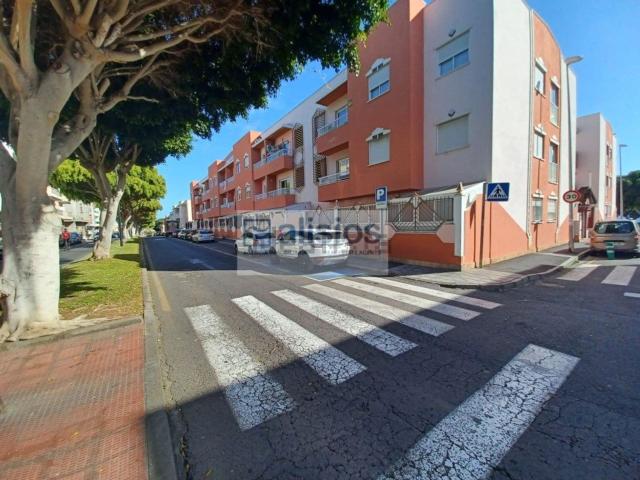 Piso, Arona