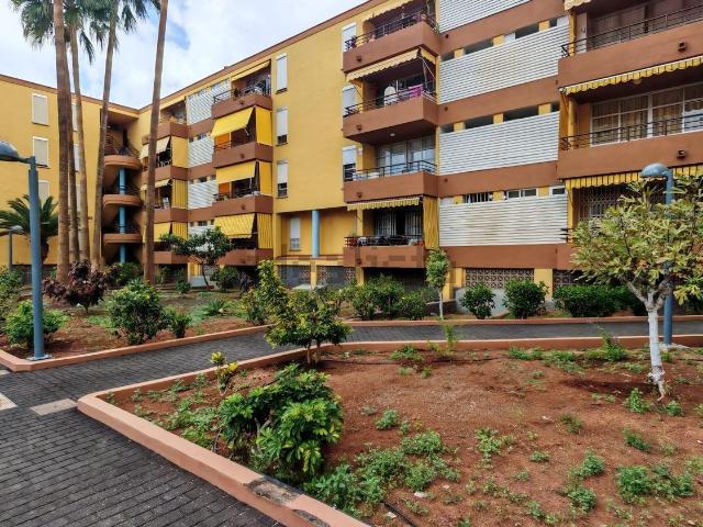 Piso, Arona