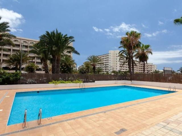 Piso, Arona