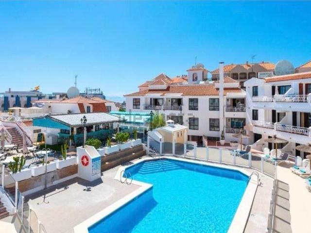 Piso, Arona