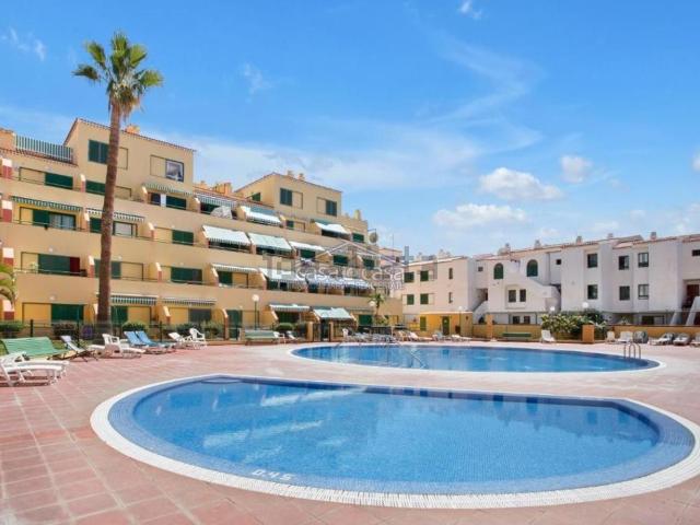 Piso, Arona
