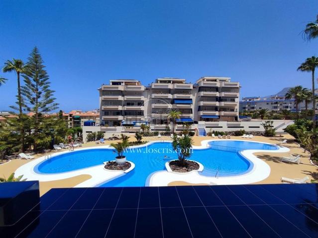 Piso, Arona