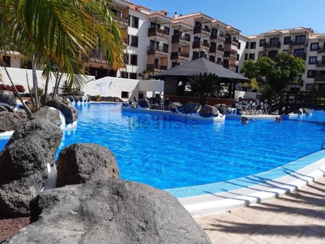 Piso, Arona