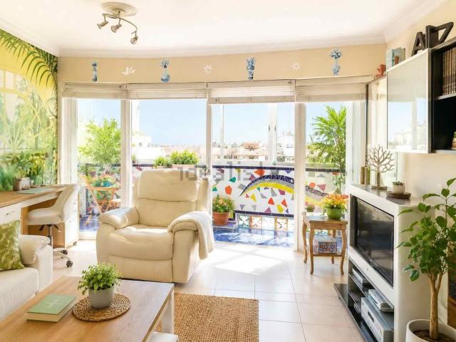Piso, Arrecife