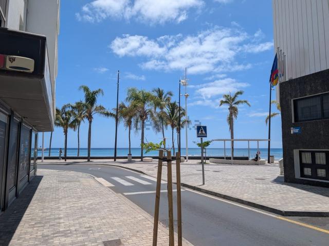 Piso, Arrecife