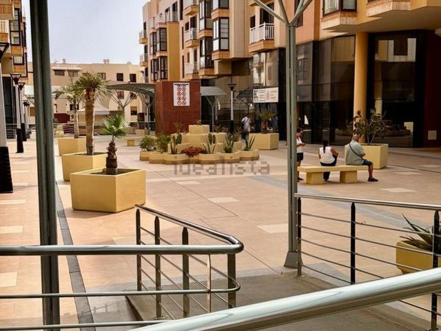 Piso, Arrecife