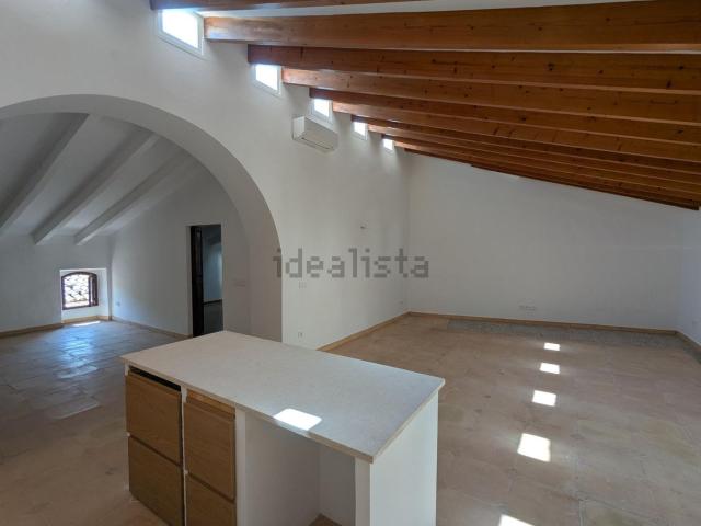 Piso, Arta