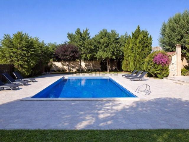 Piso, Arta