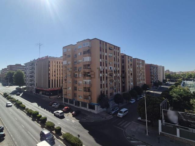 Piso, Badajoz