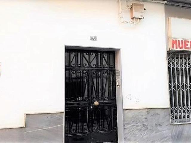 Piso, Baza