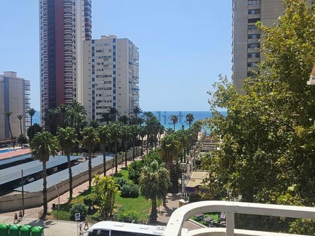 Piso, Benidorm
