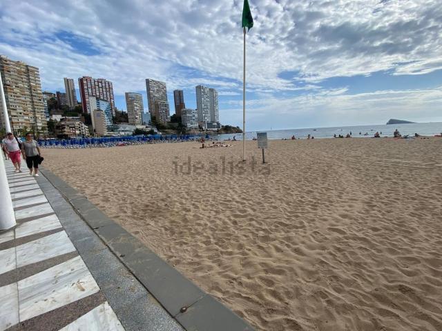 Piso, Benidorm