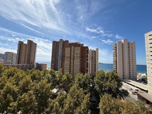 Piso, Benidorm