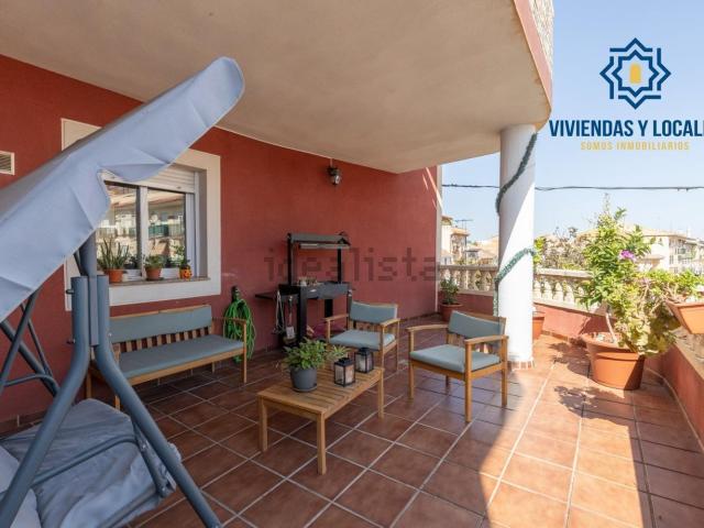 Piso, Cullar Vega