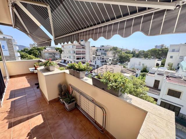 Piso, Cala Millor