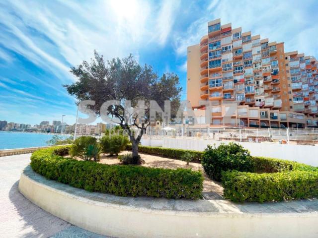 Piso, Calpe