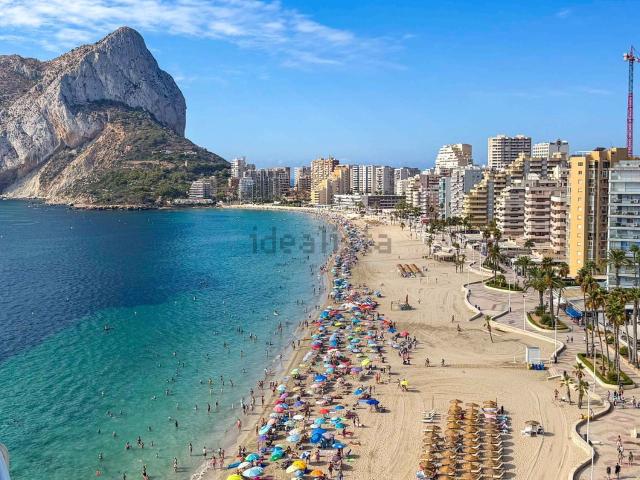 Piso, Calpe