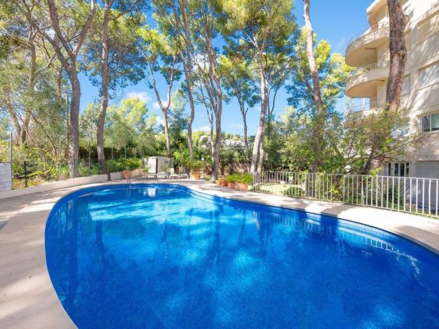 Piso, Calvià