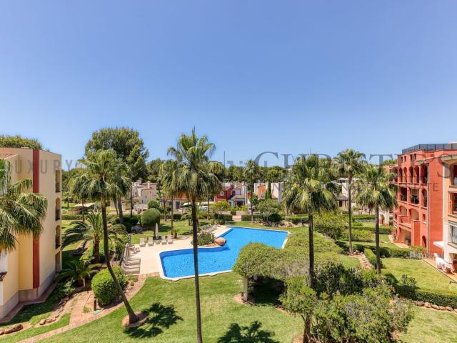 Piso, Calvià