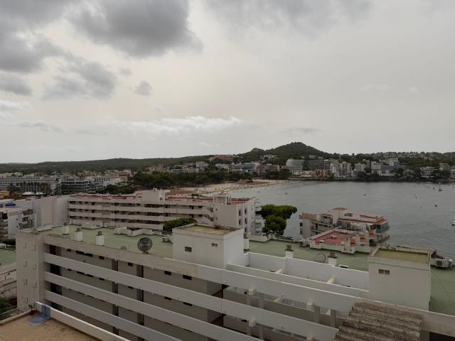Piso, Calvià