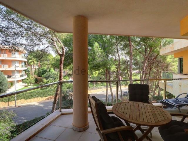 Piso, Calvià