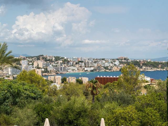 Piso, Calvià