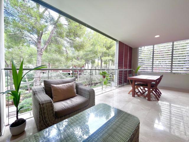 Piso, Calvià