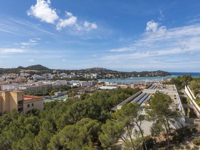 Piso, Calvià