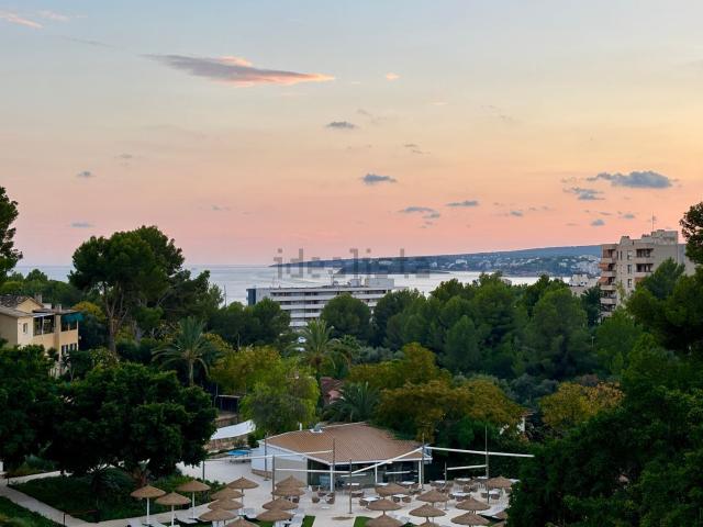 Piso, Calvià
