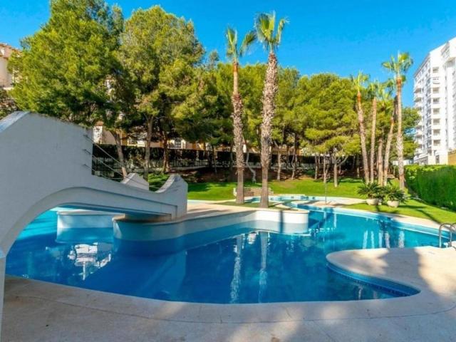 Piso, Campoamor, Orihuela