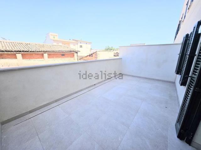 Piso, Campos