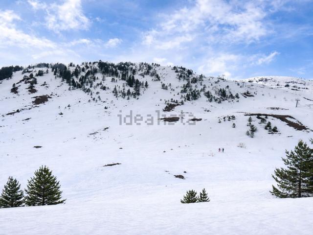 Piso, Canfranc