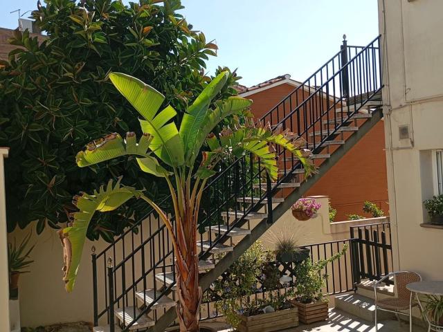 Piso, Castelldefels