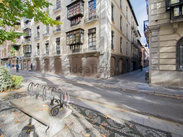 Piso, Carrera de la Virgen Paseo del Salón, Granada