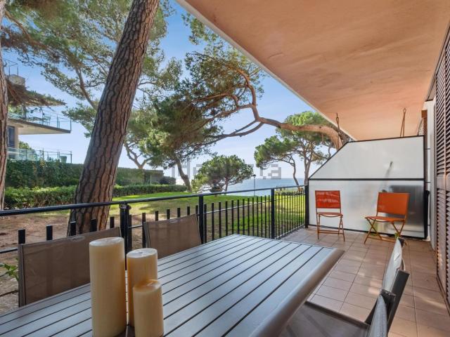 Piso, Cavall Bernat Cala Rovira, Castell Platja d&apos Aro