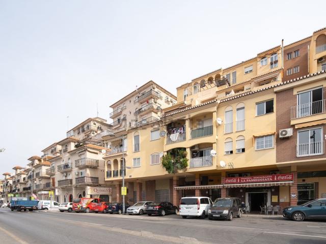 Piso, Cenes de la Vega