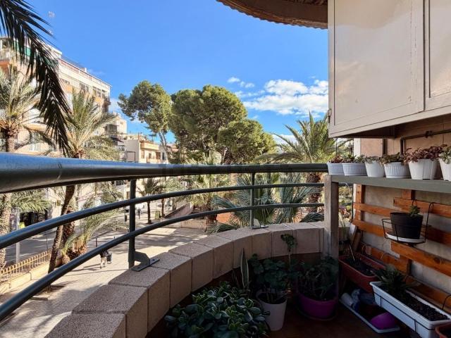 Piso, Centro, Elche / Elx