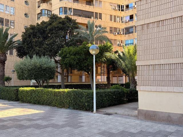 Piso, Centro, Elche / Elx