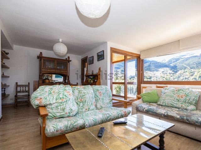 Piso, Cerler