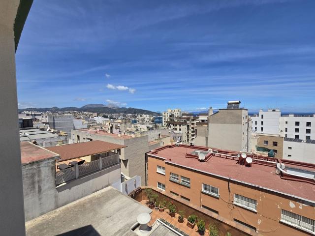 Piso, Ceuta