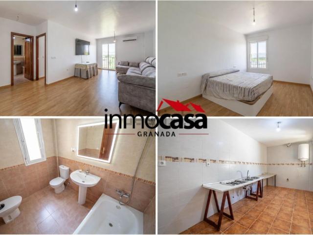 Piso, Cijuela