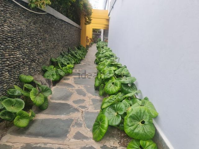 Piso, Ciudad Jardín, Las Palmas de Gran Canaria