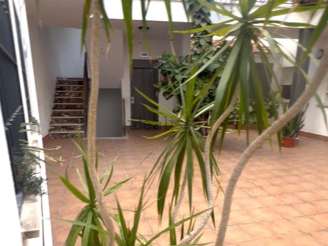 Piso, Coin