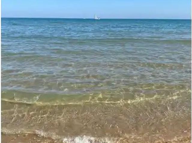 Piso con balcón en alquiler en Oliva Playa