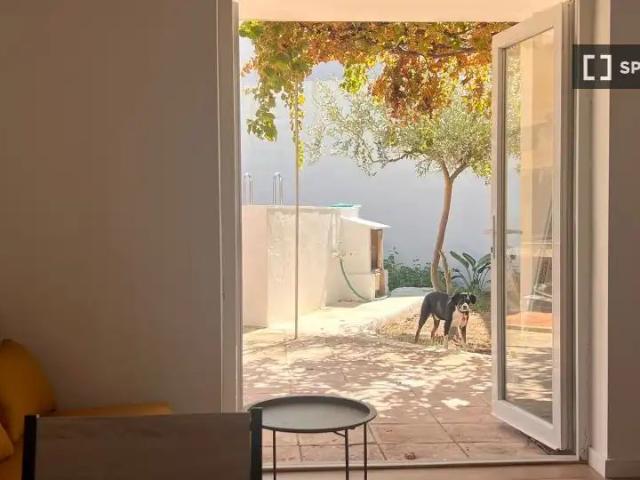 Piso con balcón en alquiler en Oliva Playa