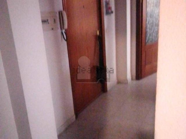 Piso, Coria