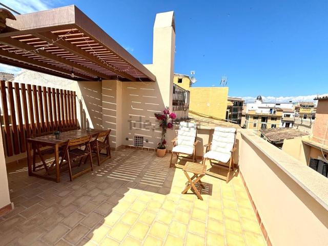 Piso, Cort, Palma de Mallorca