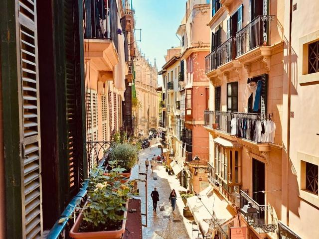 Piso, Cort, Palma de Mallorca