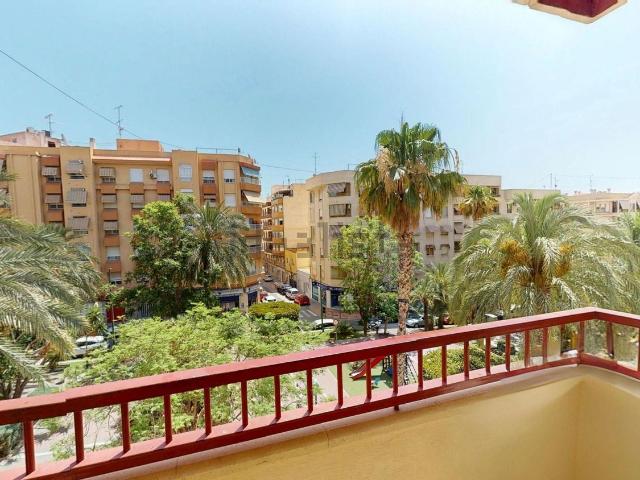 Piso, Crevillente